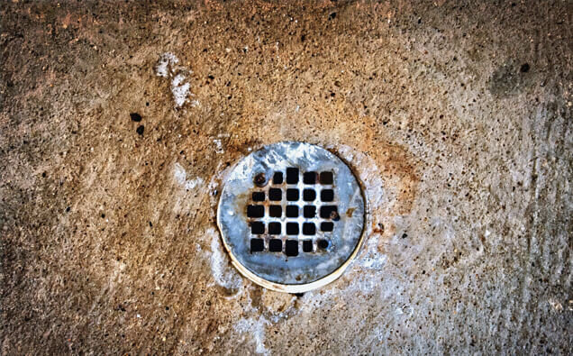https://blockeddrainsalexanderheights.com.au/uploads/2025/07/blocked-shower-drains-20432.jpg