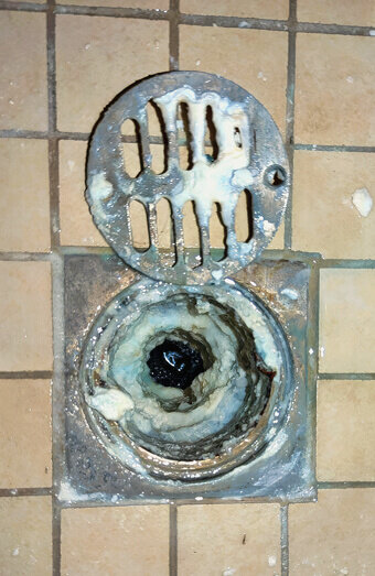 https://blockeddrainsalexanderheights.com.au/uploads/2025/07/blocked-shower-drains-86331.jpg