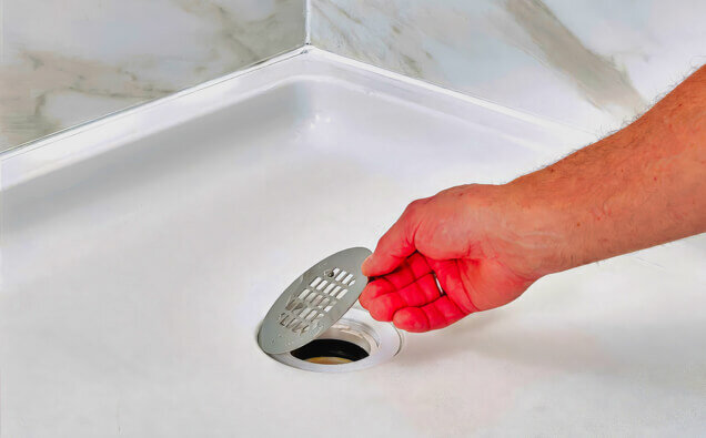 https://blockeddrainsalexanderheights.com.au/uploads/2025/07/blocked-shower-drains-90992.jpg
