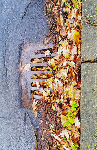 https://blockeddrainsalexanderheights.com.au/uploads/2025/07/stormwater-drains-48051.jpg
